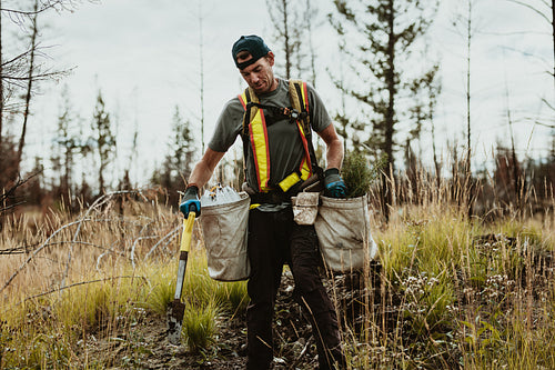 Treeplanting and reforestation