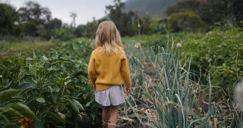 Little girl walking through a vegetable garden alone