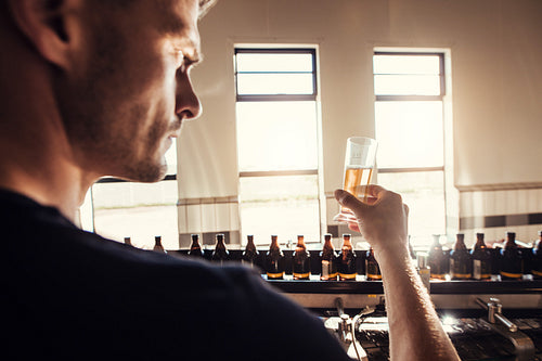 Male brewer testing craft beer at brewery factory