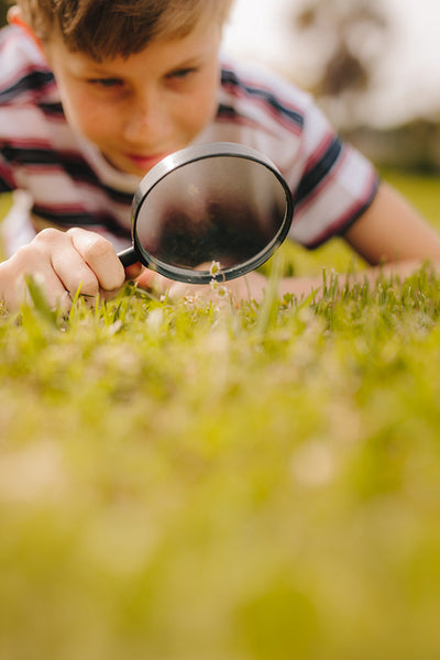 Boy exploring garden using magnifying glass