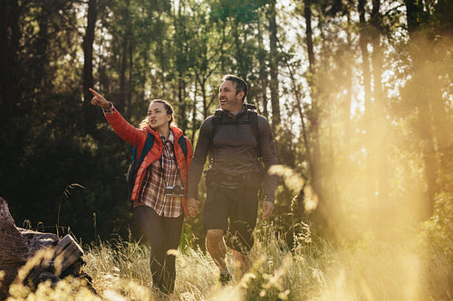 Couple hiking through forest trails