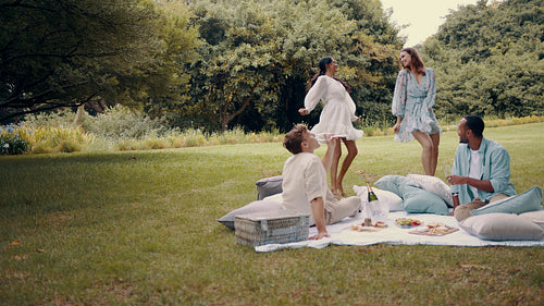 Group of friends having a great time on picnic