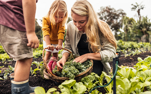 Young mother gathering fresh vegetables with her children