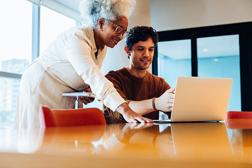 Collaborating seniors with laptop in office