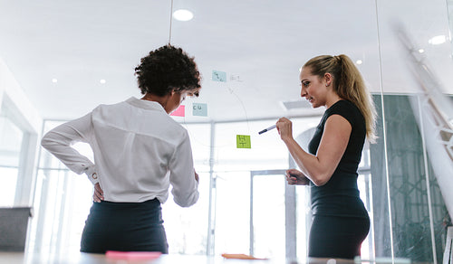 Female colleagues discussing business ideas