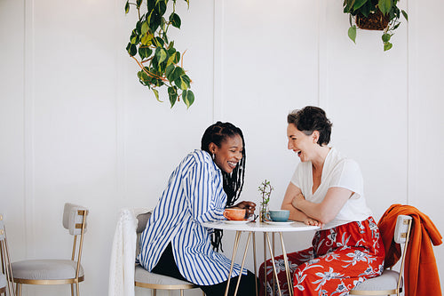 Happy businesswomen laughing together during a coffee break in an office cafe