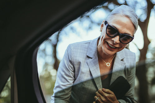 Businesswoman talking with cab driver