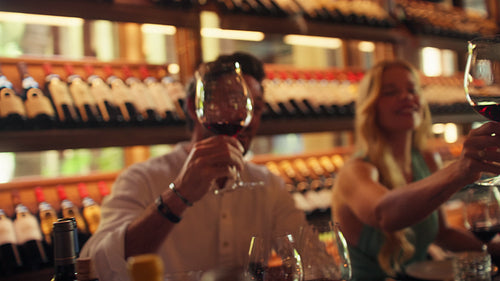 Friends enjoy a private wine tasting and celebratory cheers in a beautiful winery