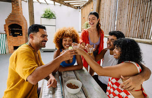 Group of friends toasting and enjoying a meal in Rio de Janeiro
