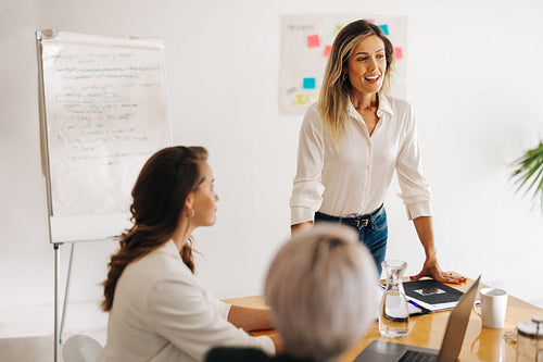 Young businesswoman leading a meeting in a boardroom