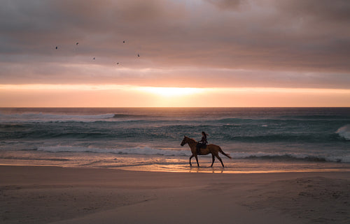 Woman horse riding along the sea shore 