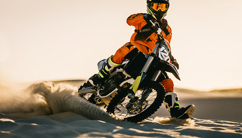 Roaring back into action