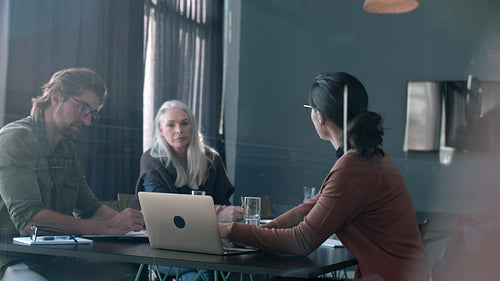 Businesswoman sharing her proposal with team in meeting