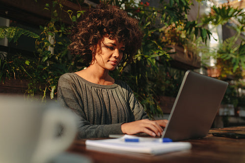 Young woman working on laptop