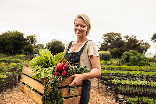 Self-sufficient female farmer holding a box with fresh produce