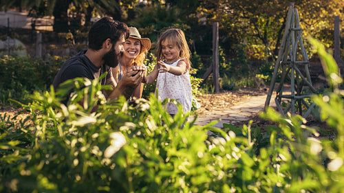 Family having fun in their farm