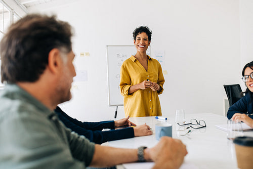 Business woman having a discussion with a team of professionals in an office