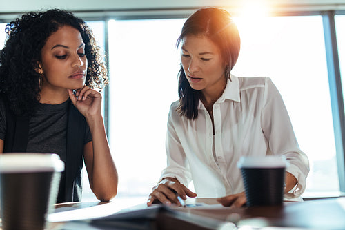 Businesswomen discussing business ideas at office.