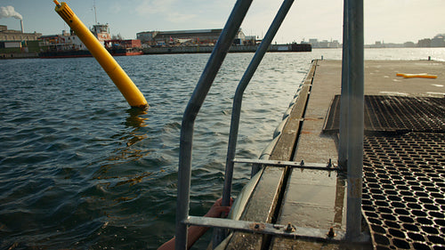 The swimming friends gather at the dock with support after a cold plunge