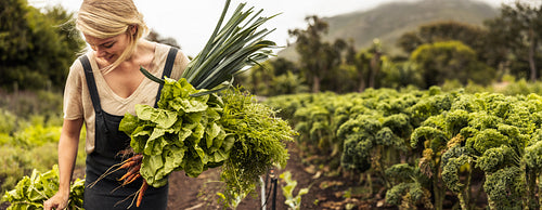 Happy female farmer holding freshly picked vegetables on her farm