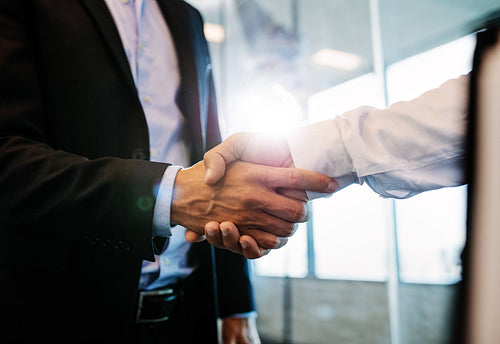 Successful businessmen handshaking after good deal