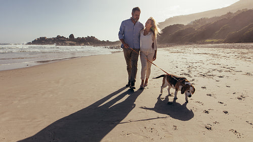 Couple walking a dog on the beach