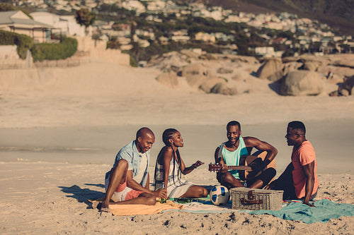 Group of people enjoying at the seaside picnic