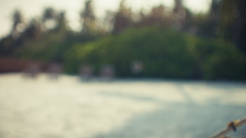Happy father and son planting coral for reef restoration on a beautiful tropical beach