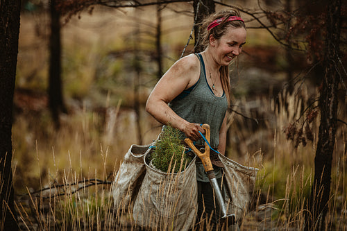 Female forest ranger planting new trees