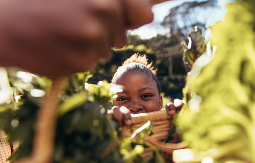 Cute little girl peeking over a wicker basket