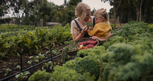 Mother picking fresh kale with her daughter
