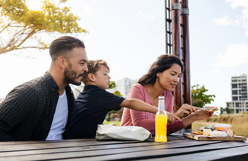 Family out for a picnic