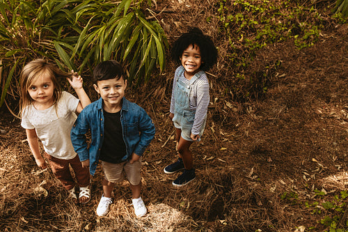 Children playing in forest