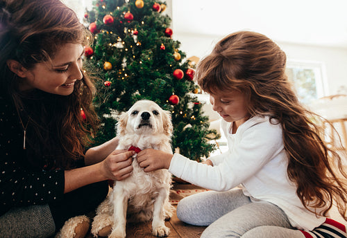 Mother and daughter tying a bow tie to their dog on Christmas.