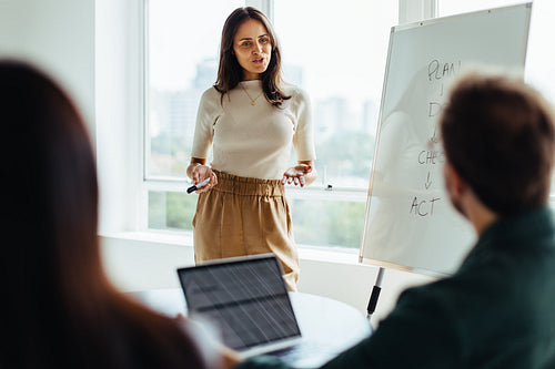 Female professional giving a presentation in an office