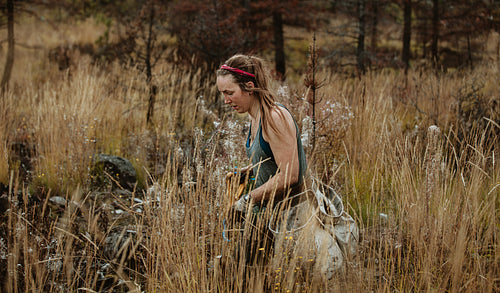 Woman working in forestry planting trees