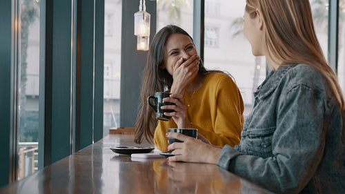 Female friends enjoying talking in a cafe