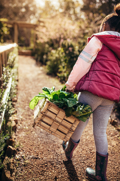 Little girl with basket walking through garden