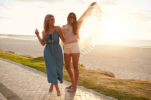 Friends having fun on the sea shore