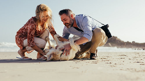 Senior couple playing with dog on beach