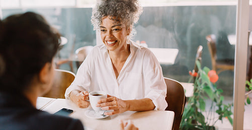 Mature businesswoman meeting with a client