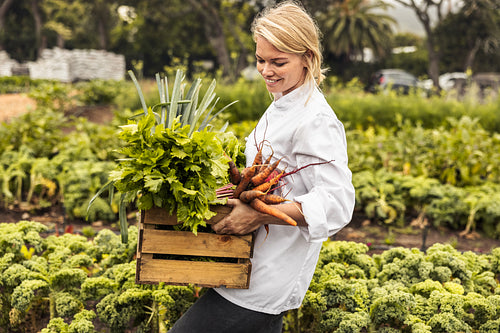 Cheerful female chef carrying fresh vegetables on a farm