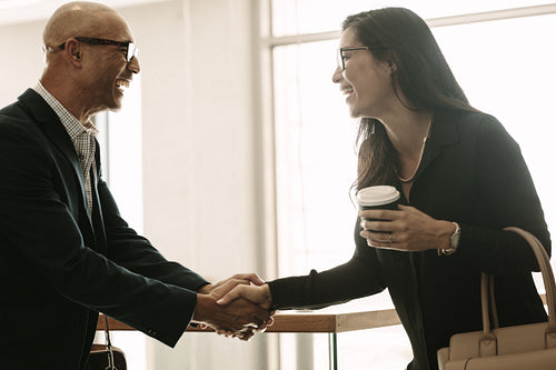 Happy colleagues handshaking in the office