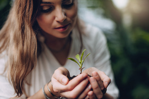 Woman with young plant in hand