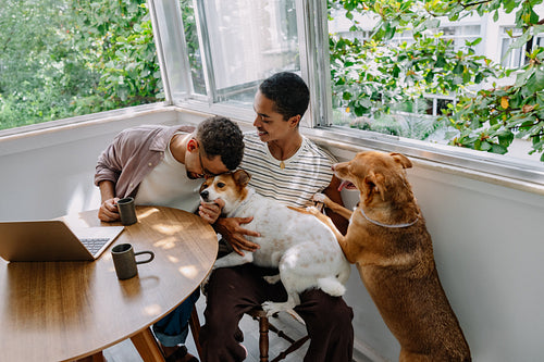 Caring for rescue dogs in a home setting