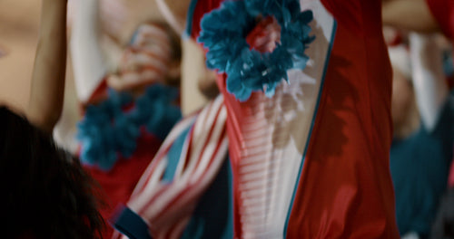 American sports fans celebrating championship win