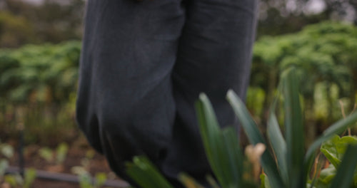 Happy female farmer standing in her vegetable garden