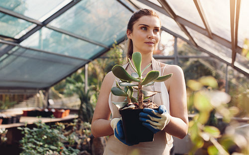 Female worker working at garden center