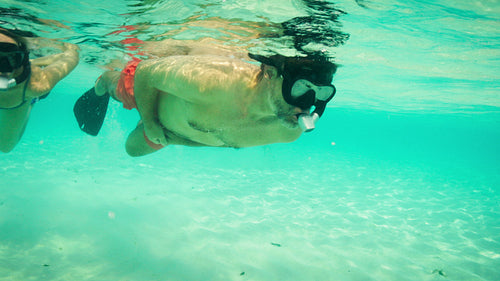 A couple explores the crystal clear turquoise waters while snorkeling on their tropical holiday