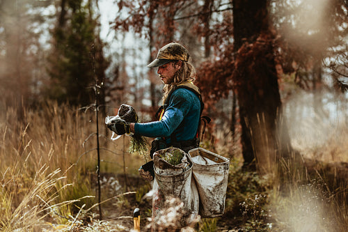 Tree planter for forest conservation